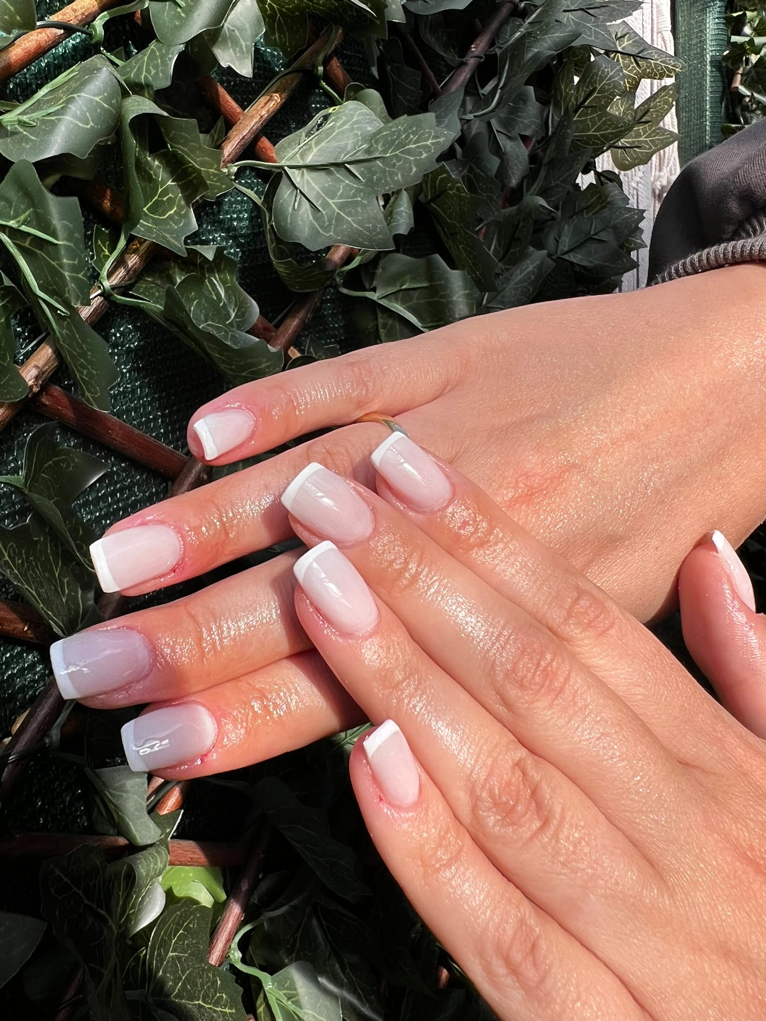 Zachte French nagels, handen tegen groene bladeren
